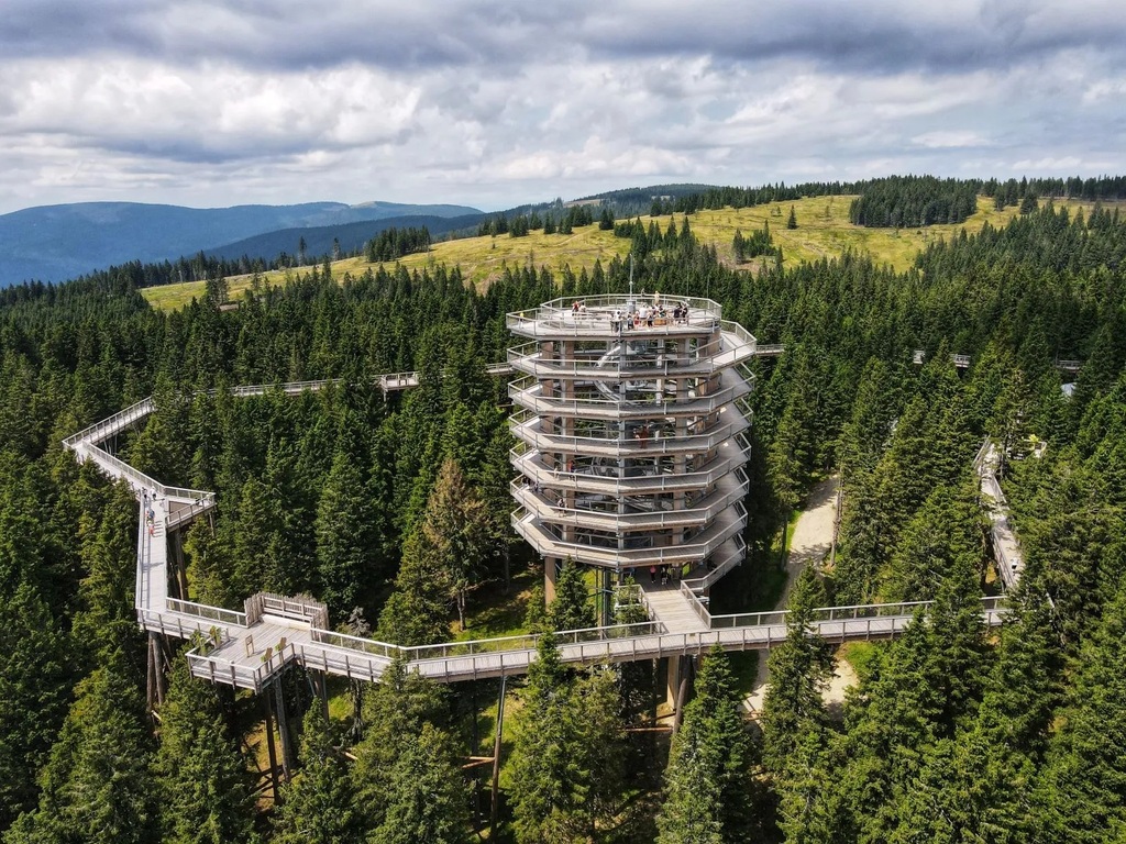 Treetop Walk at Rogla will take you above the trees for a spectacular view