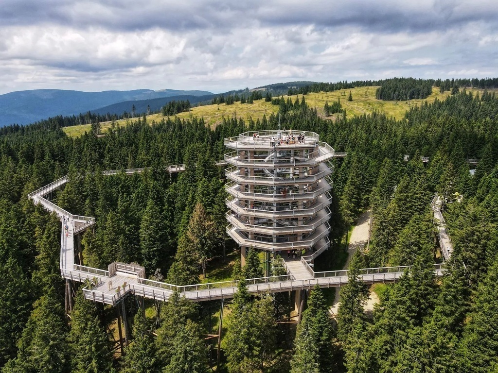 Treetop Walk at Rogla will take you above the trees for a spectacular view