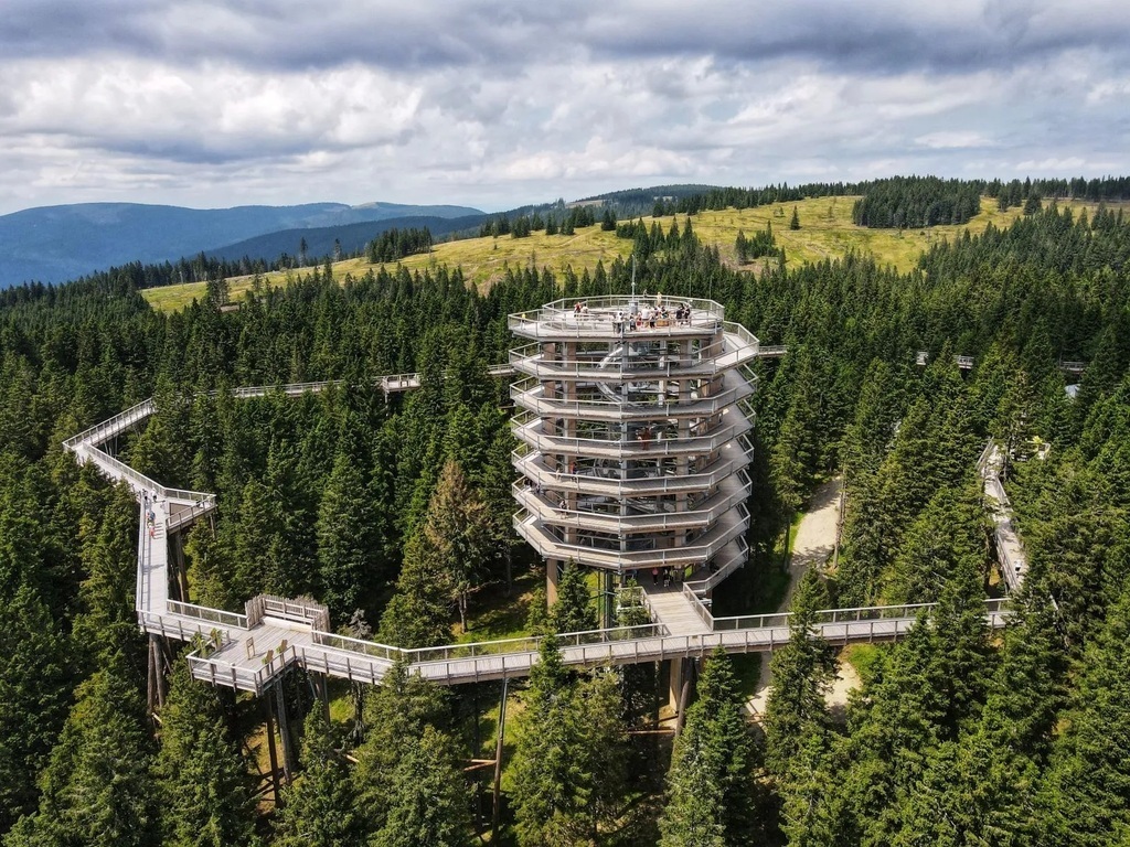 Treetop Walk at Rogla will take you above the trees for a spectacular view