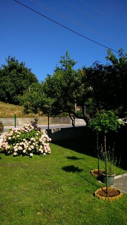 Flowers around the house. 