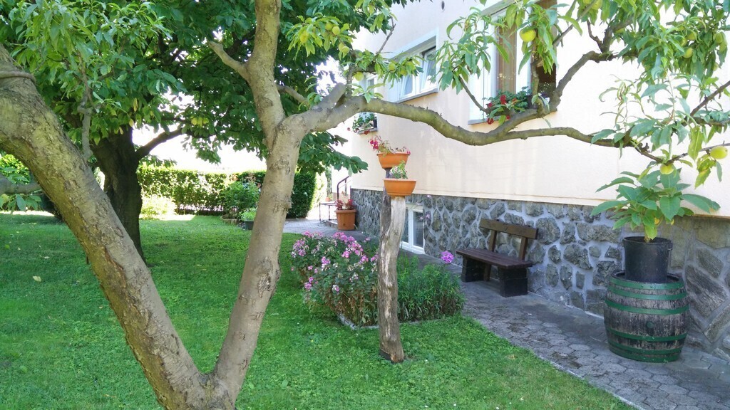 It's green and shady around the house. 