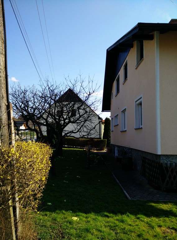 There are great peach and cherrytree in front of the house.