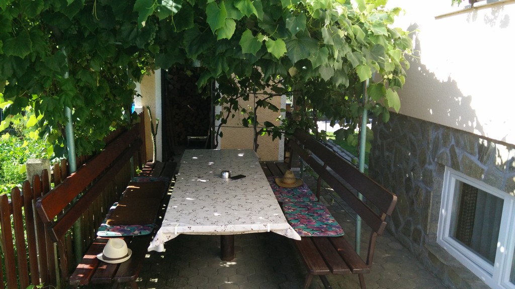 There is a large table outside with amazing green vine shade in the summer.