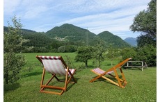 Backyard with the view