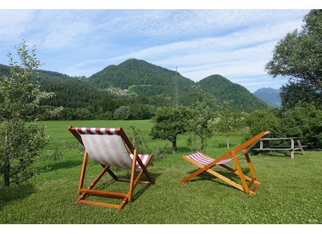 Backyard with the view