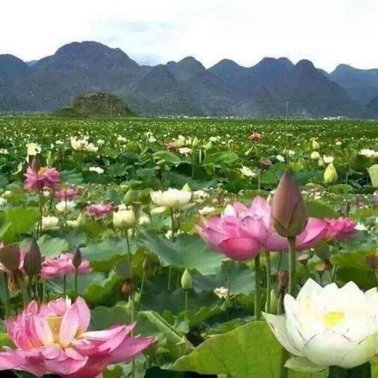 Sam Roi Yot national park