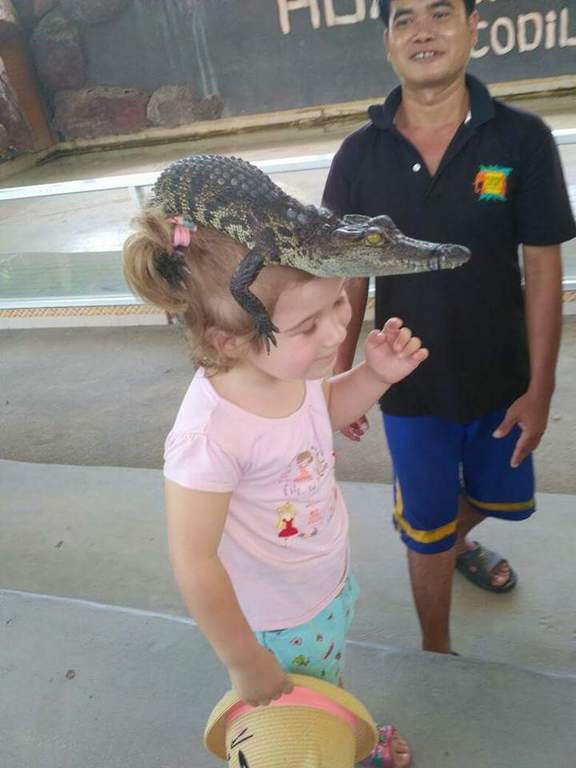 Safari  and Adventure Park