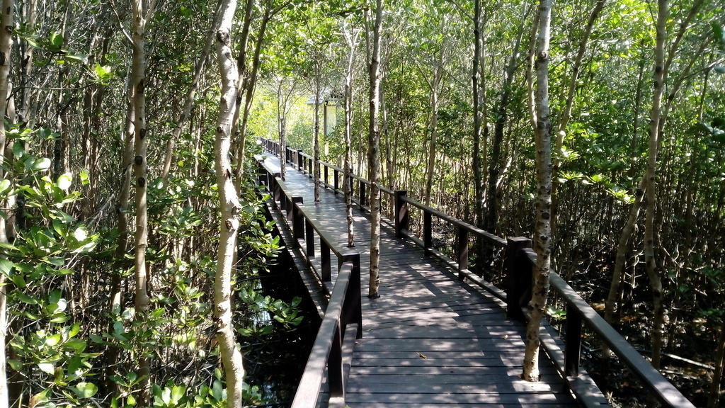 Pranburi Forest park