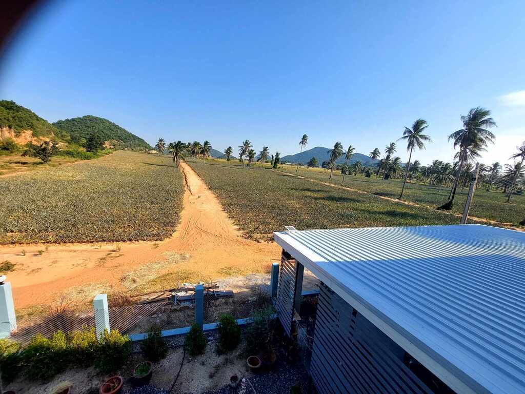 view from the front of the house