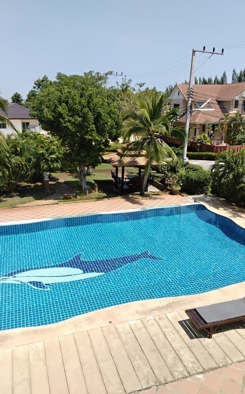 swimming pool shared