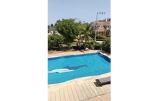 swimming pool shared