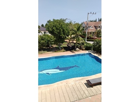 swimming pool shared