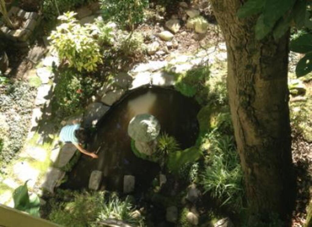 looking down into garden