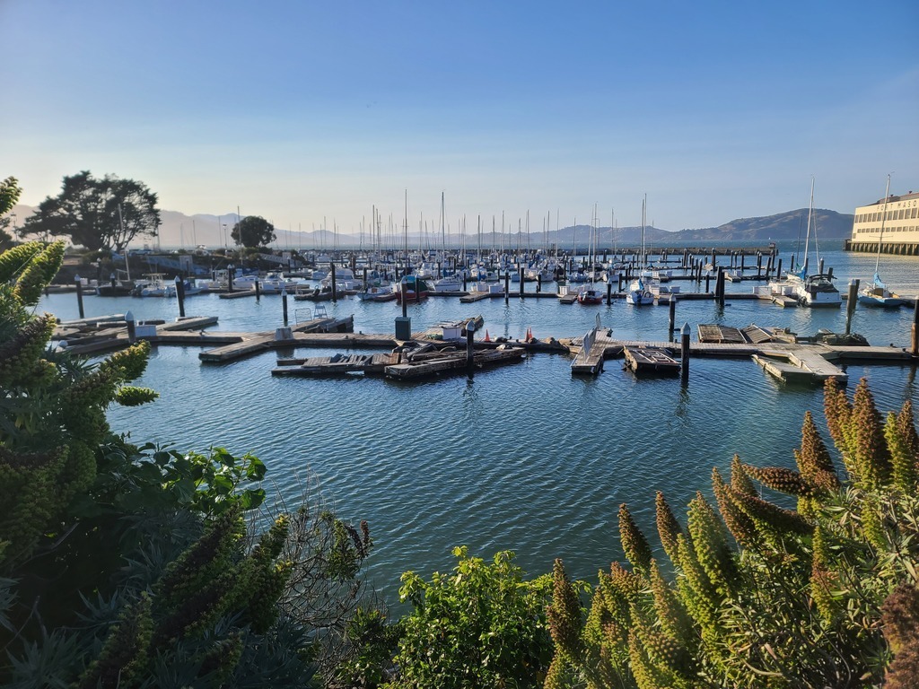 The marina at Fort Mason, 2 miles from my flat.