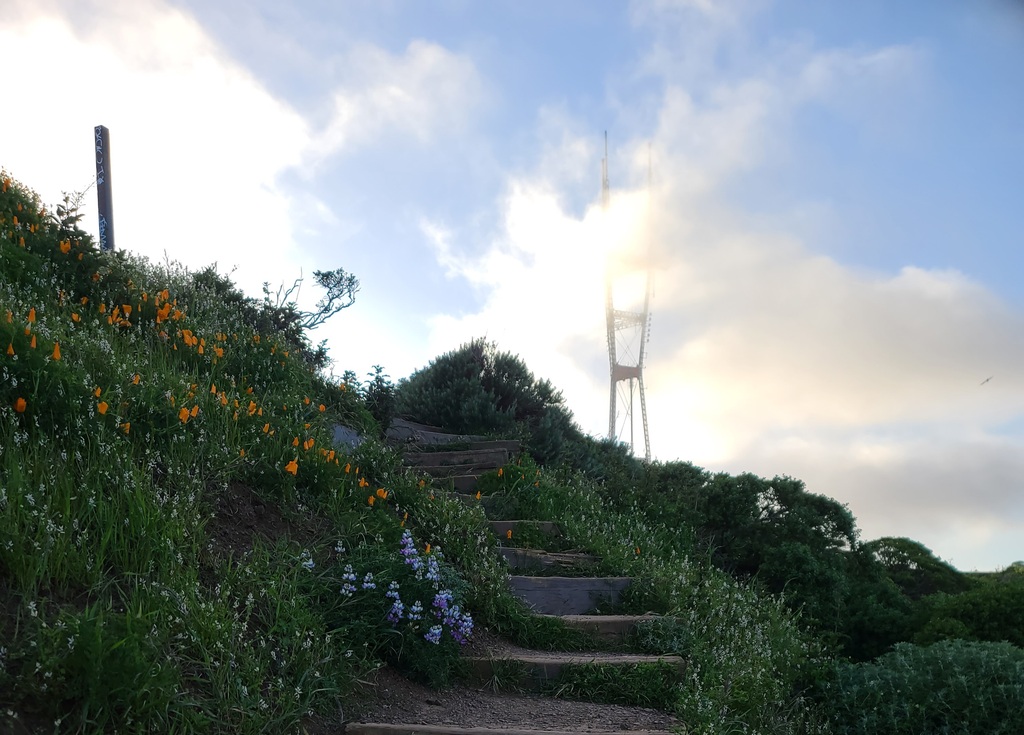 Sunset hike up to Sutro Tower, 4 miles from my flat.