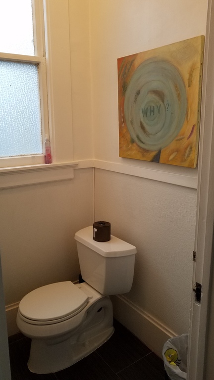 The loo with a local artist's painting above.