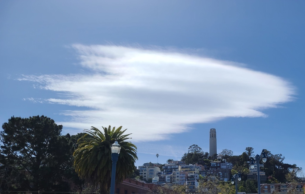 Looking up to Coit Tower from the Embarcadero, 1 mile from my flat.