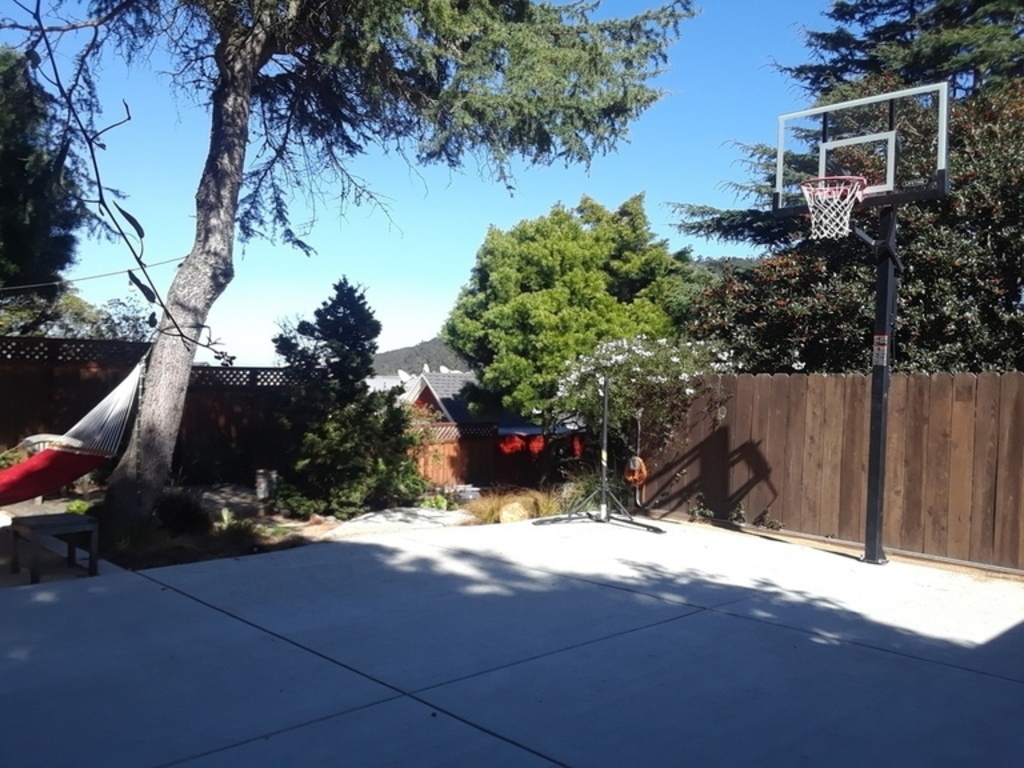 basketball, sports area