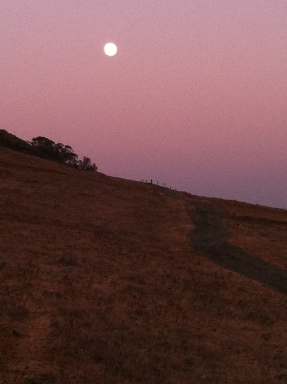 The trail across the street