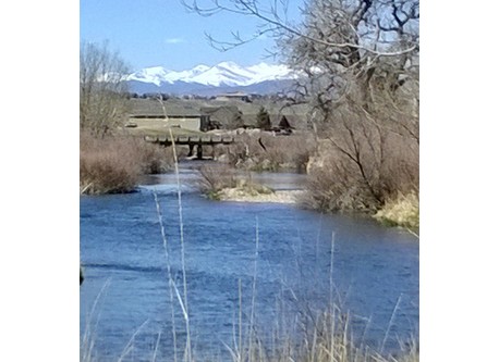 Mountain view from Windsor trail
