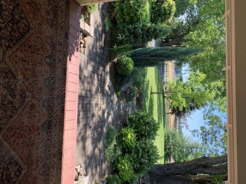 View from front porch facing south