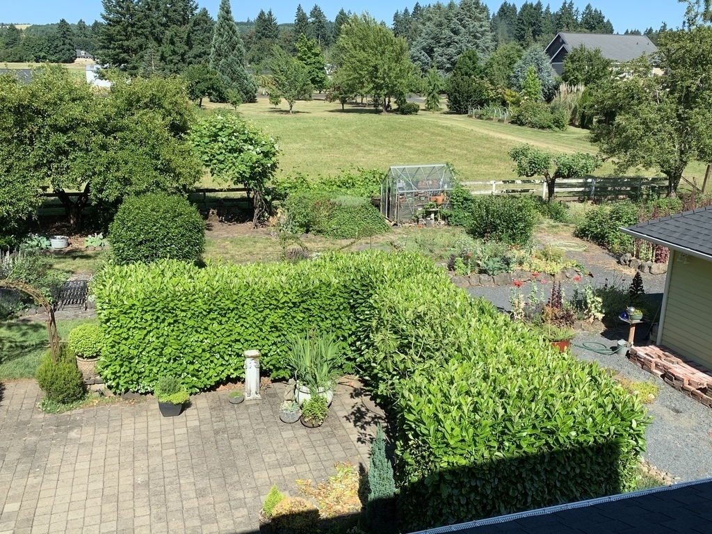 View from NW Guest room