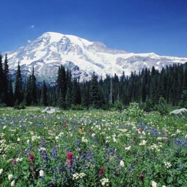 Mount Rainier 