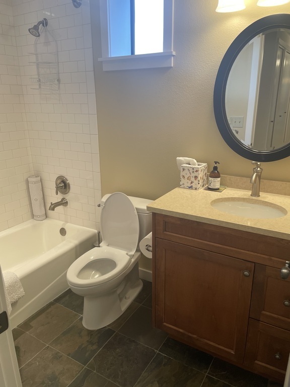 Lower Floor Bathroom