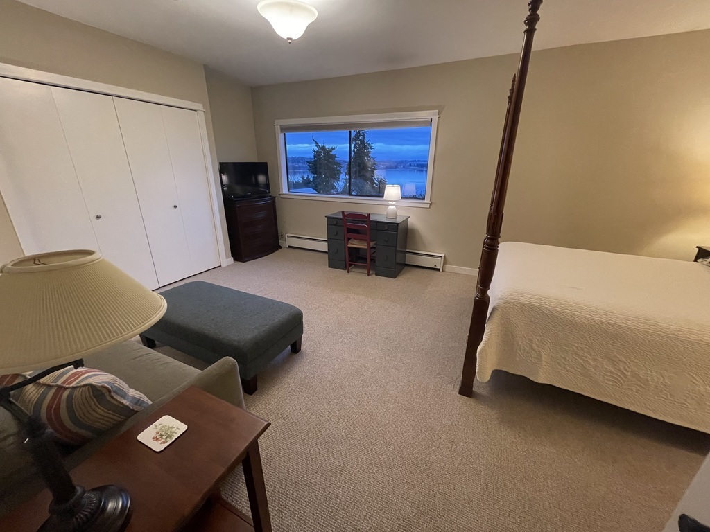 Lower Floor bedroom suite