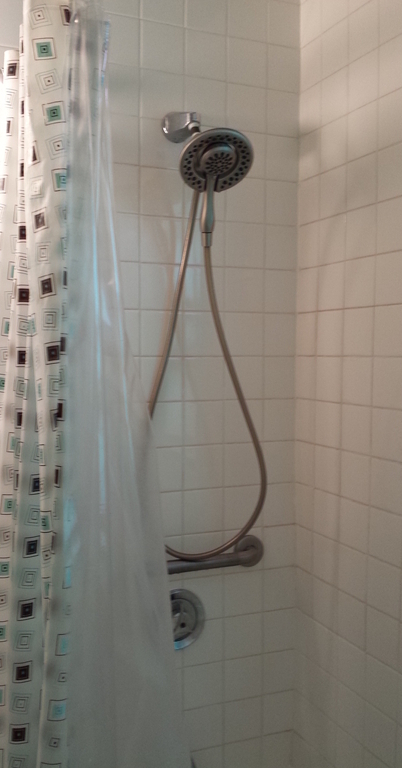Shower in bath