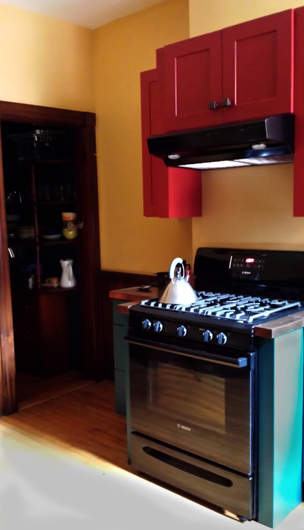 Kitchen with gas stove and pantry