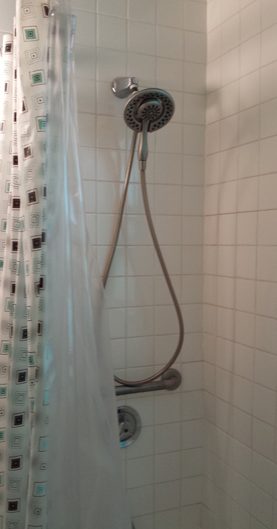 Shower in bath