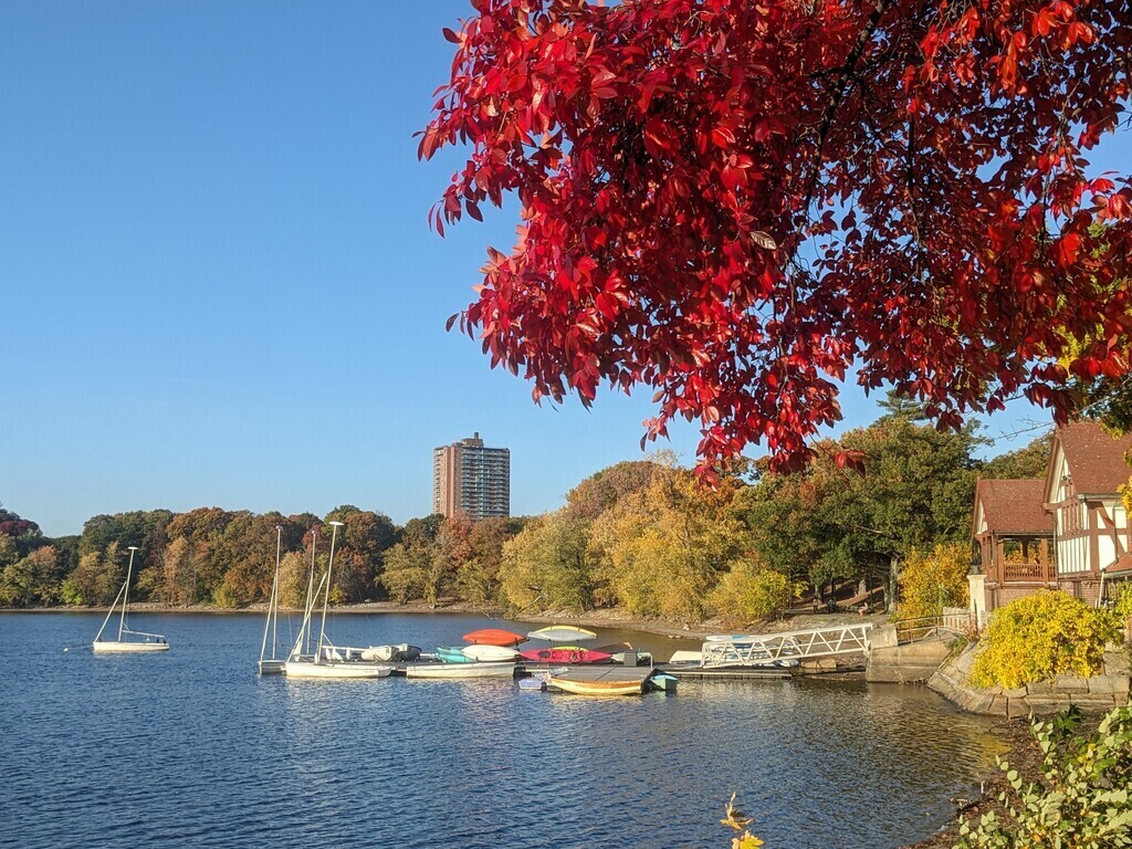 Jamaica Pond in the fall