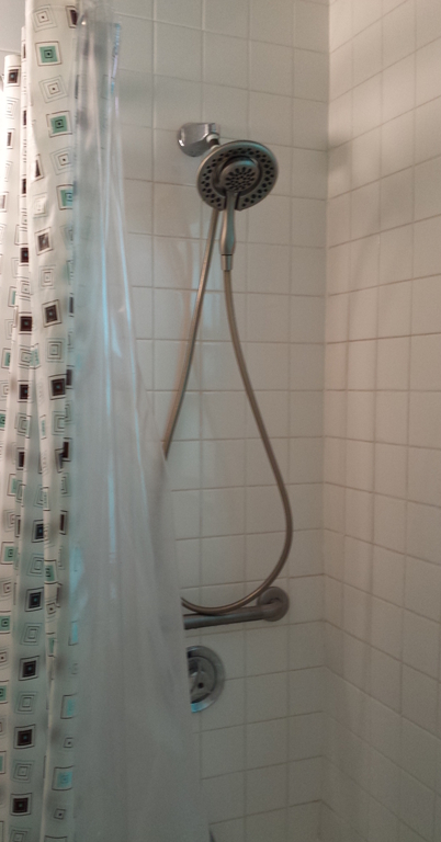 Shower in bath