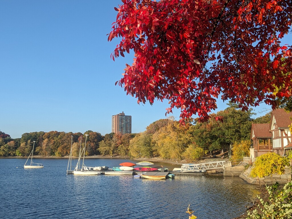 Jamaica Pond in the fall