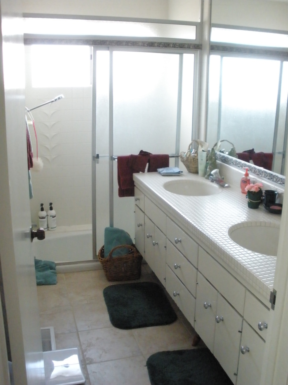 Guest Bath/Shower