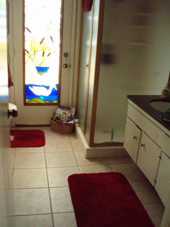 Downstairs Bath/Shower