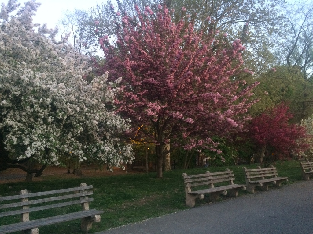 riverside park spring