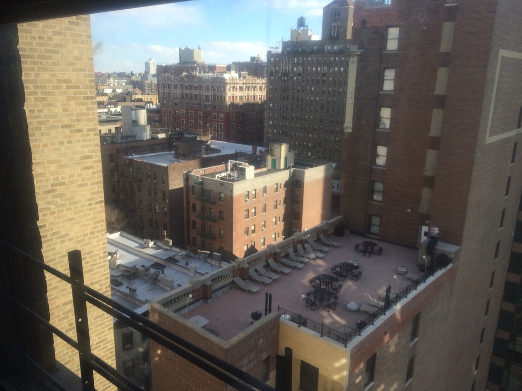 looking north out the kitchen window