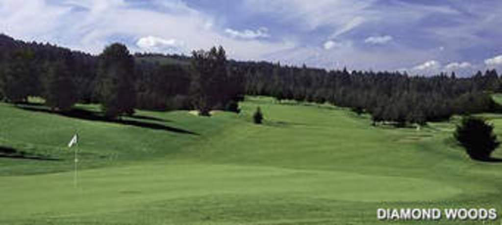 Diamond Woods Golf Course