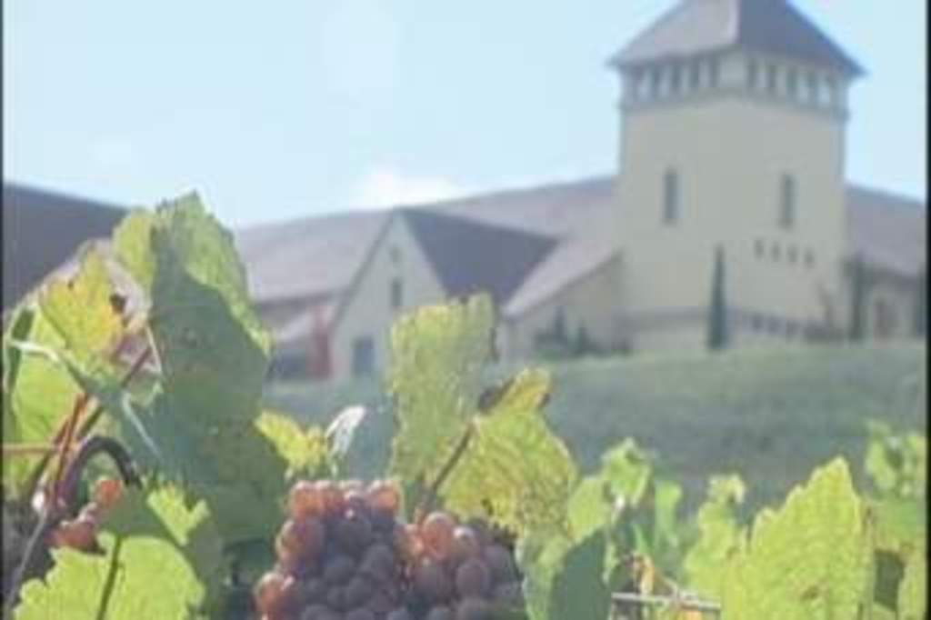 King Estate Winery, tasting room and restaurant