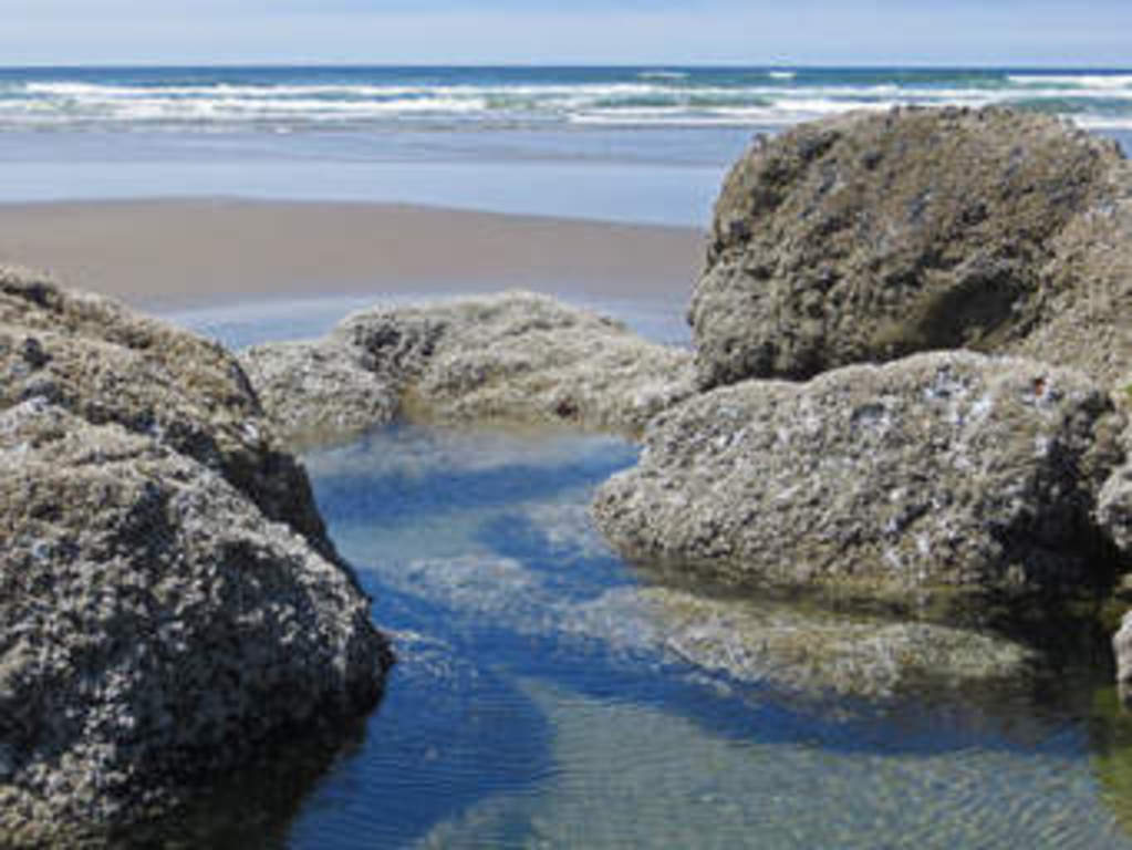 Oregon beaches