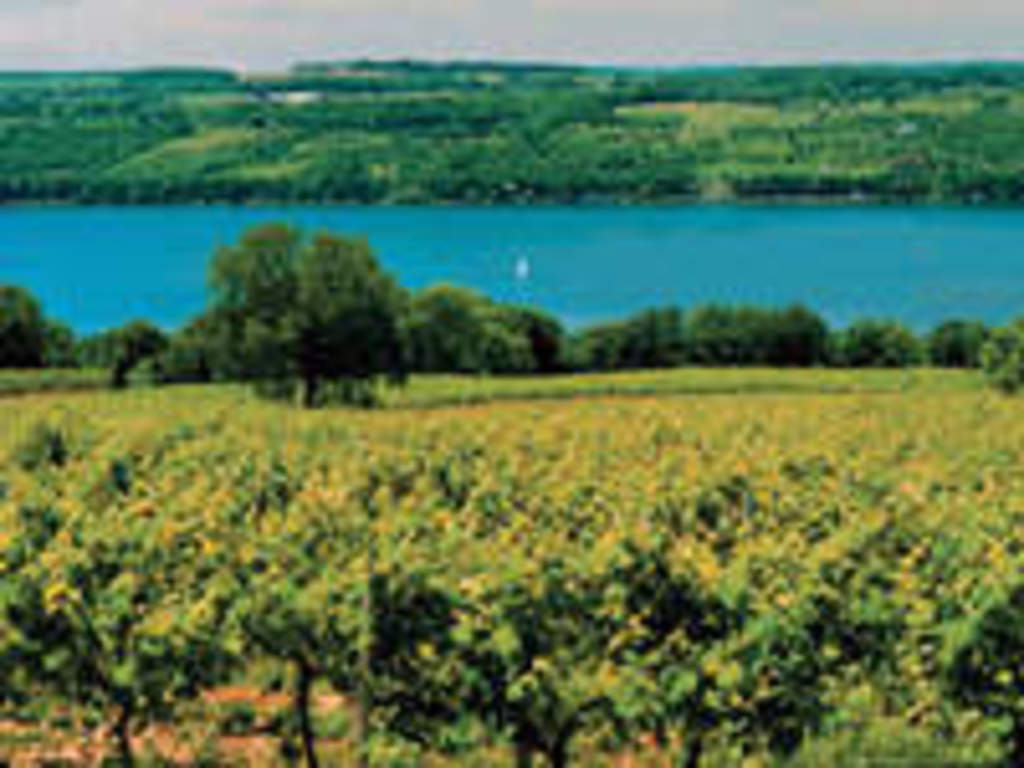 Lavelle Winery and Tasting Room, 10 minutes away