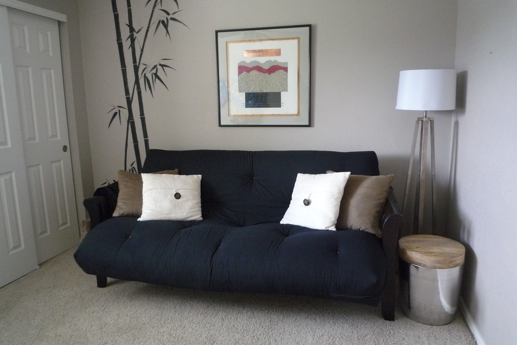 second bedroom with futon/sleeper sofa