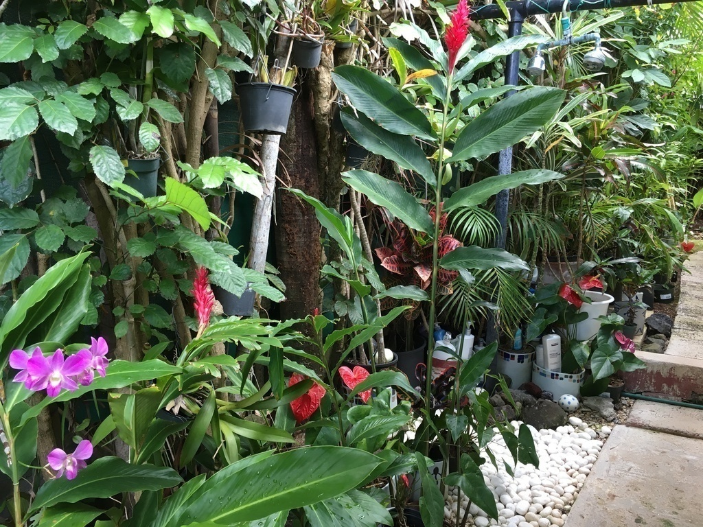 Outdoor shower with warm water to rinse off sand from the beach