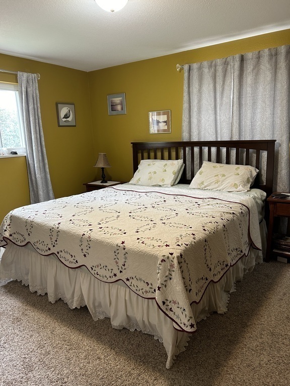 Master bedroom (king size)