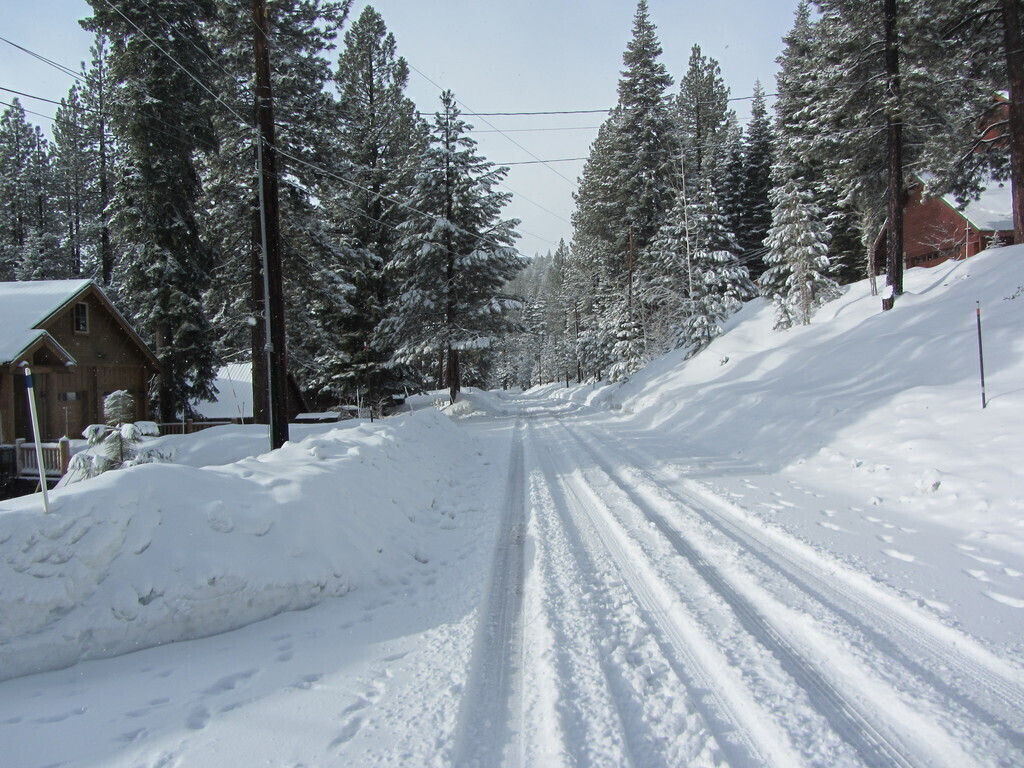 St. Bernard after snowfall