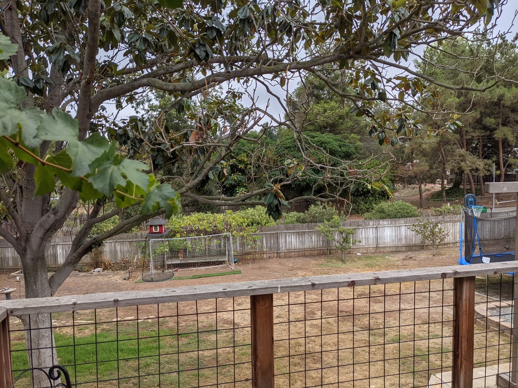 Lots of space to run around. Unfortunately had to get rid of the soccer goal and trampoline.