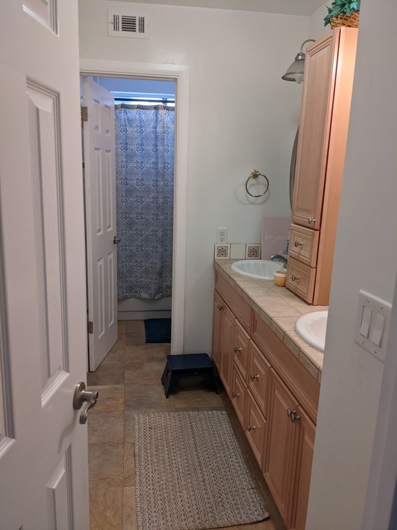 Kids bathroom with shower, bathtub and dual bathroom sinks.