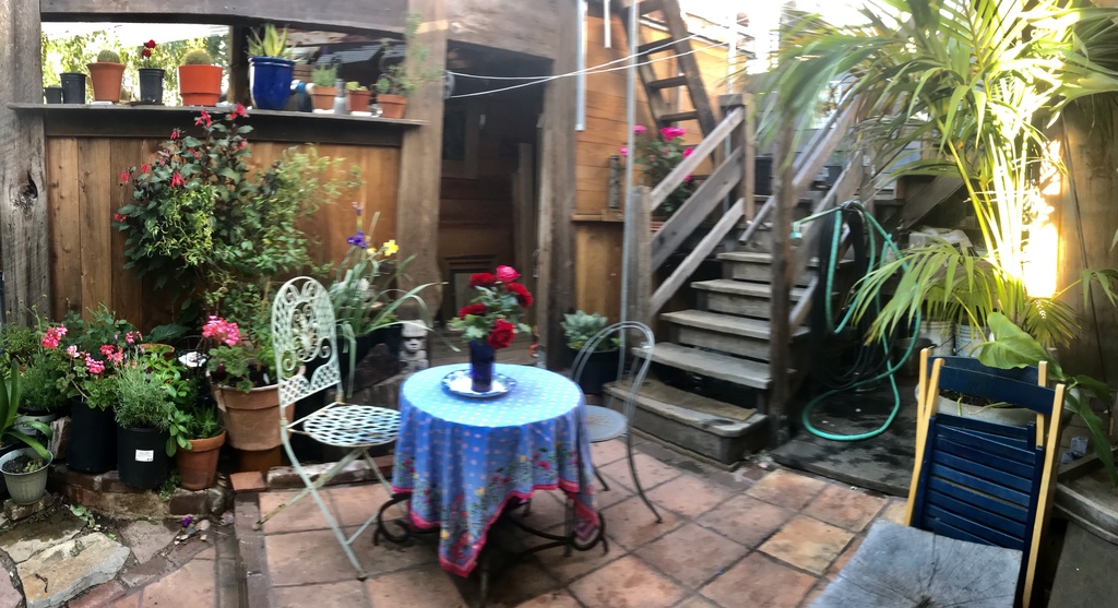 back patio next to Colin's workshop and wood shed
